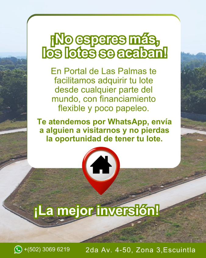 Noticia 13