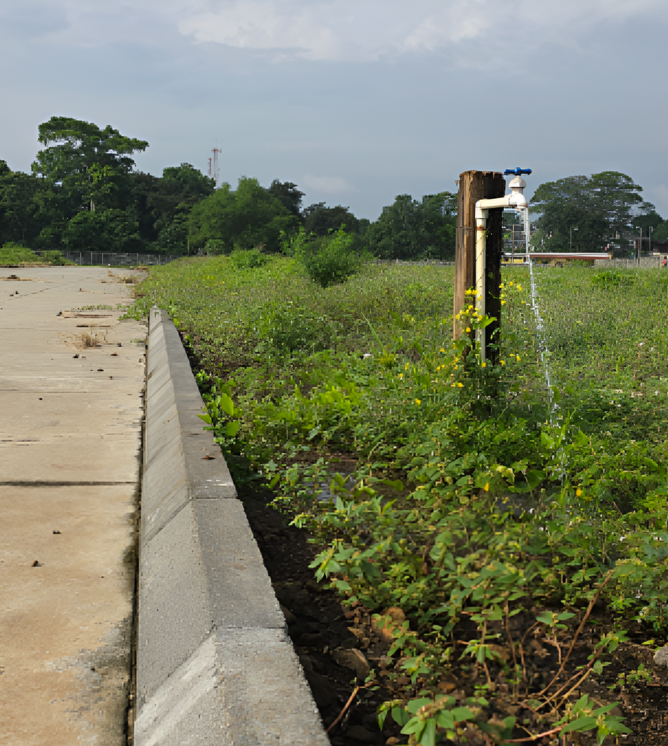 Captura de pantalla 2025-10-31 142939